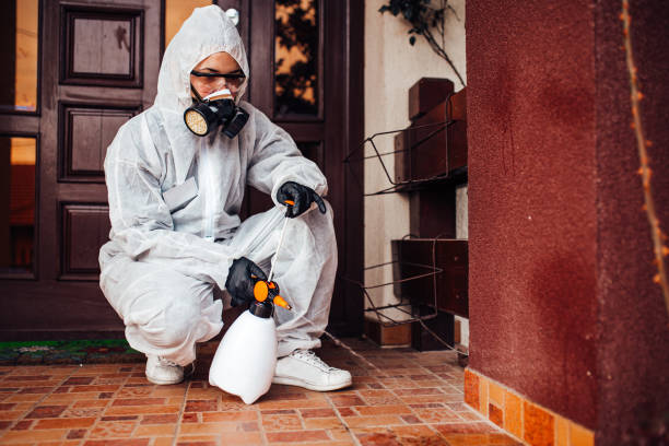 Reliable Mosquito Control contractor in Sulphur Springs, TX by Show Me Pest Control